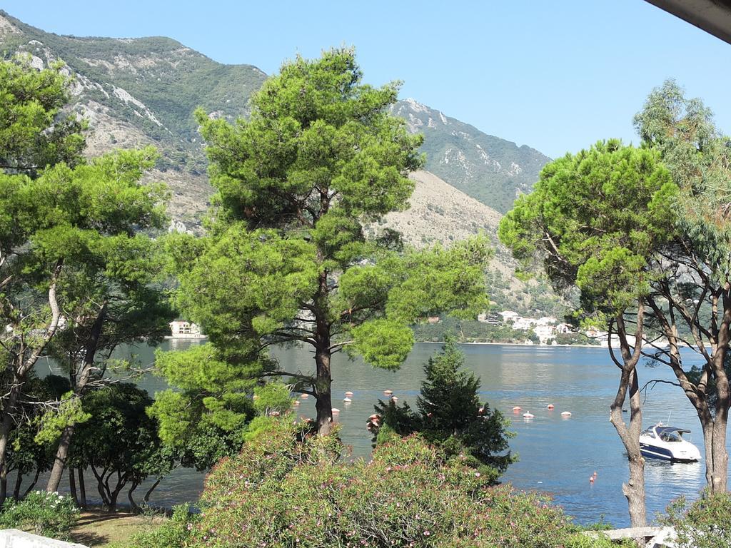 Apartments Vojvoda Kotor Rum bild